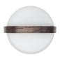 Preview: kooduu lite up play sound by JBL ocean dimmbare lampe bluetooth lautsprecher
