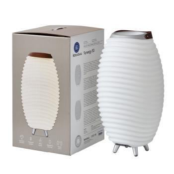 kooduu synergy 50 stereo 2.0 bluetooth lautsprecher led licht und getränkekühler
