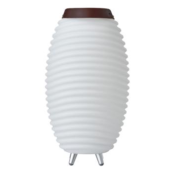 kooduu synergy 50 stereo 2.0 bluetooth lautsprecher led licht und getränkekühler