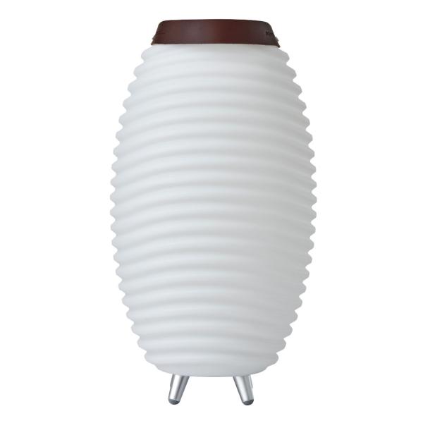 kooduu synergy 50 stereo 2.0 bluetooth lautsprecher led licht und getränkekühler