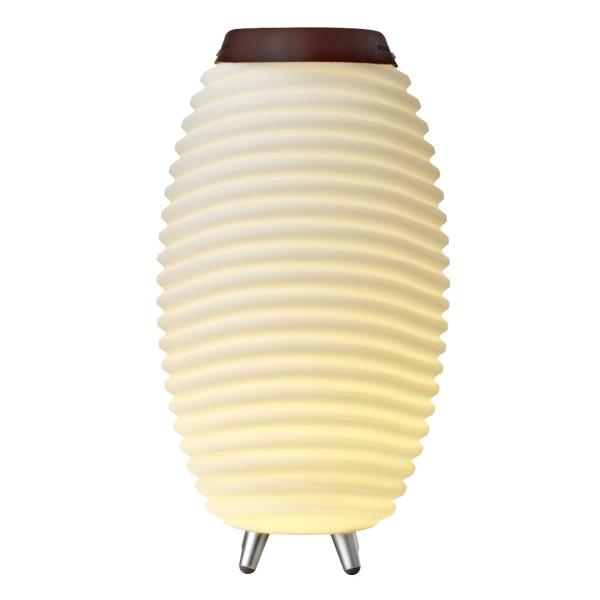 kooduu synergy 50 stereo 2.0 bluetooth lautsprecher led licht und getränkekühler