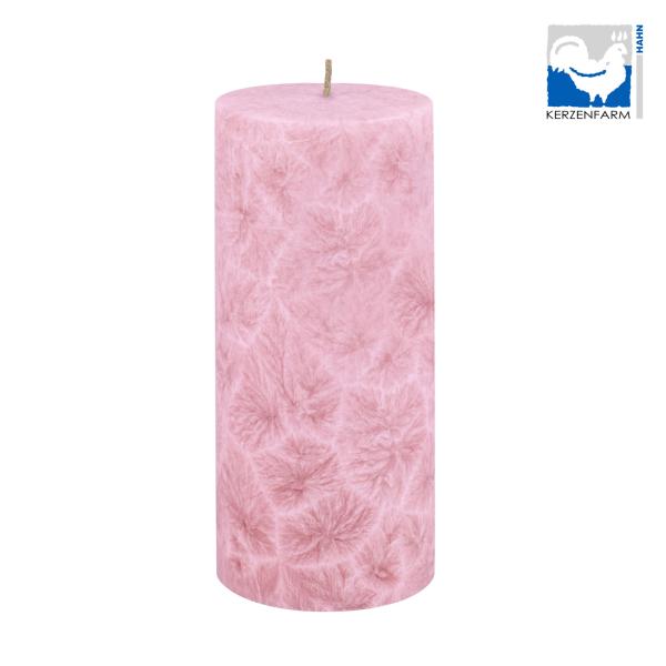 stumpenkerze pastellrosa 64x135mm kerzenfarm hahn 100% pflanzliches stearin